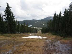 Mount Washington-Ski Run