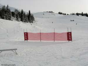Ski Run-