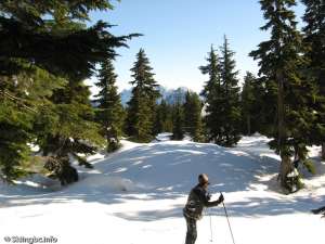 Spring Off Trail-