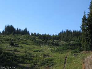 Old Lift-Liftline, opposite the main mountain at the Upper Parking Lot