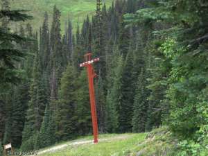 Orange Chair-Tower