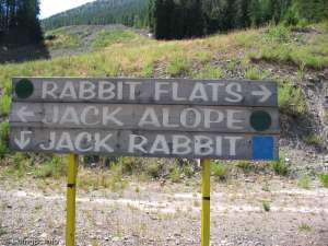 Castle Mountain-Ski Trail Sign