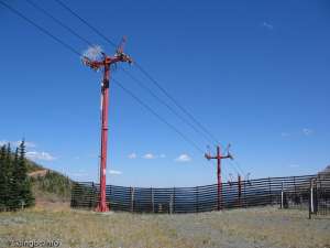 Tamarack-Down Line