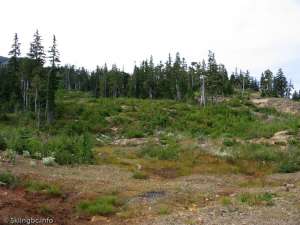 Mount Arrowsmith Upper-Ski Run