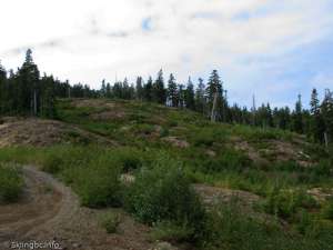 Mount Arrowsmith Upper-Ski Run