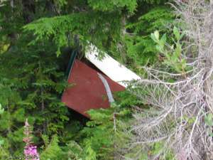 Mount Arrowsmith Upper-Old Outhouse