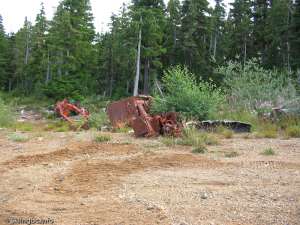 Mount Arrowsmith Upper-Remains of a Groomer