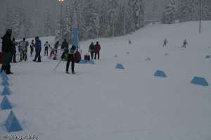 Skier Starting-