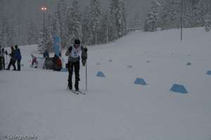 Skier Starting-